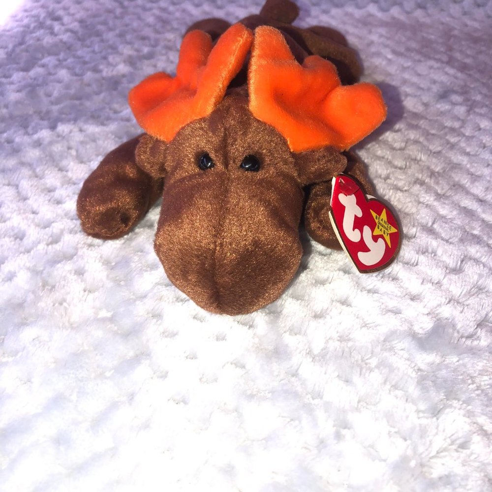 TY Beanie Baby Chocolate the Moose - Picture 4 of 10